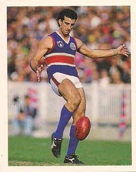 1993 Select AFL Stickers #108 Danny Del Re Front